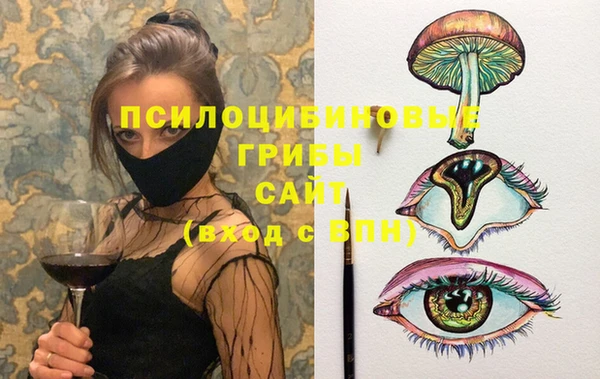 метадон Белокуриха