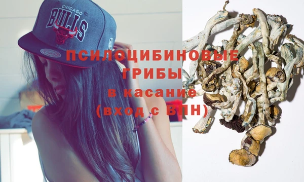 метадон Белокуриха