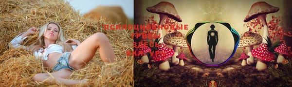 спиды Беломорск