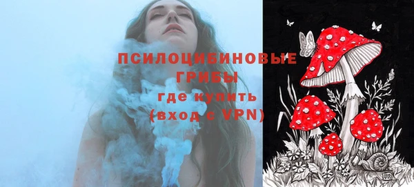метадон Белокуриха