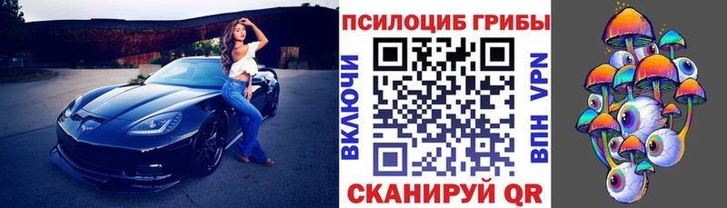 Купить закладки Дальнегорск Псилоцибиновые грибы Magic Shrooms