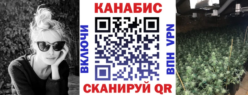 Бошки марихуана планчик  Купить  Дальнегорск 